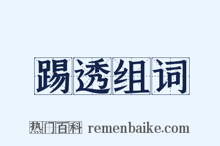 踢透组词是什么意思的图片